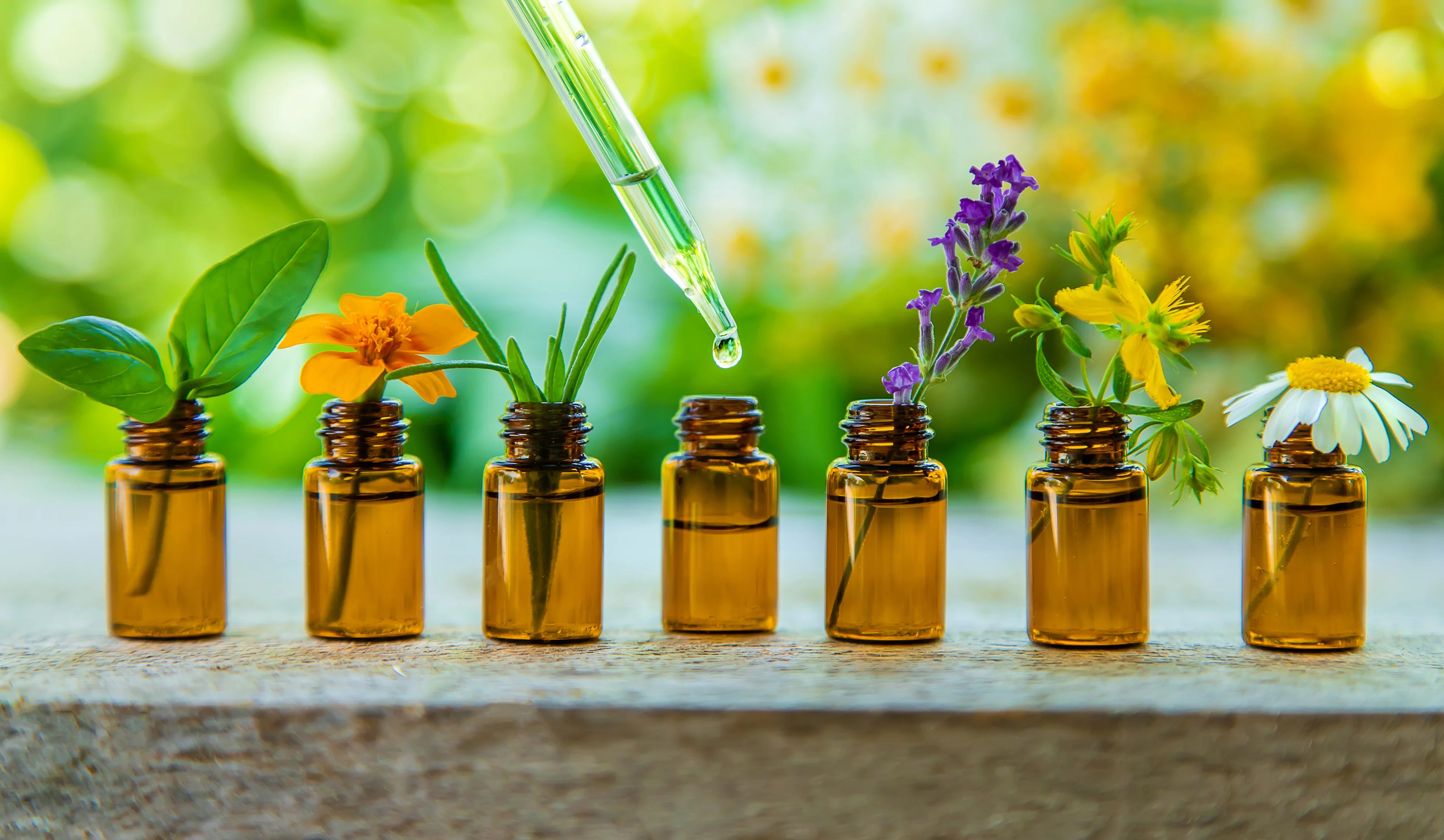 Unlocking the Aromatic World: Exploring the Magic of Essential Oils