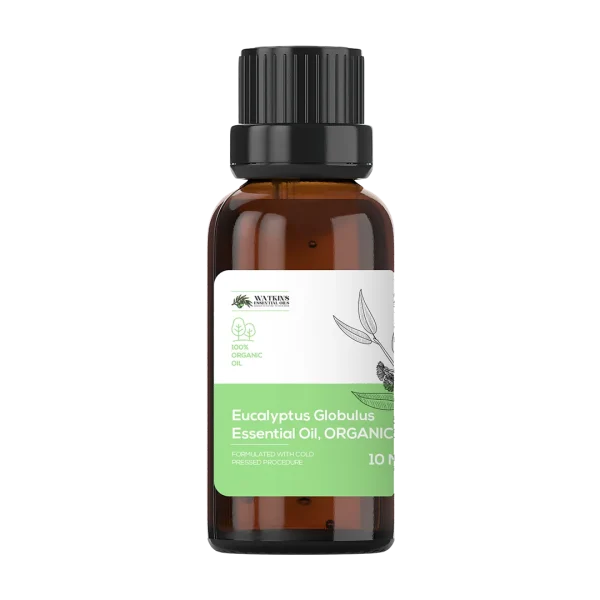 Eucalyptus Globulus Essential Oil