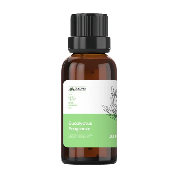 Eucalyptus Fragrance